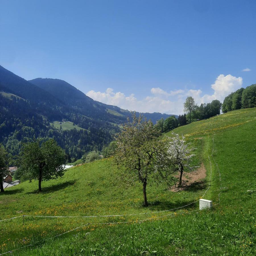 Sunnaschi Appartements - Wohnungen Oder Gesamt Als "Huette" Laterns Exterior foto