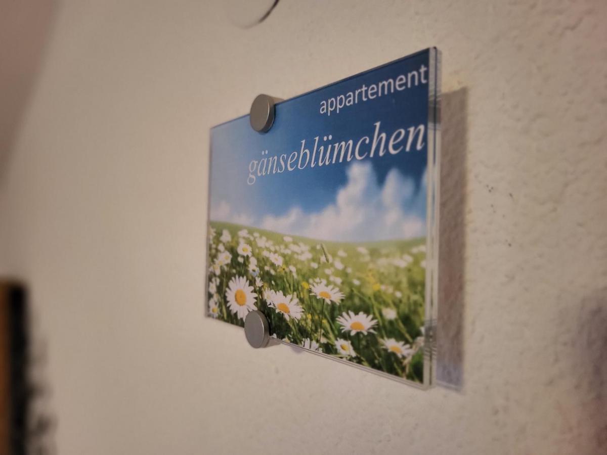 Sunnaschi Appartements - Wohnungen Oder Gesamt Als "Huette" Laterns Exterior foto